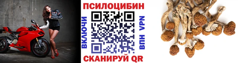 Псилоцибиновые грибы прущие грибы  магазин  наркотиков  площадка Telegram  Скопин 