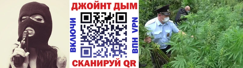 где найти   Скопин  Бошки марихуана гибрид 